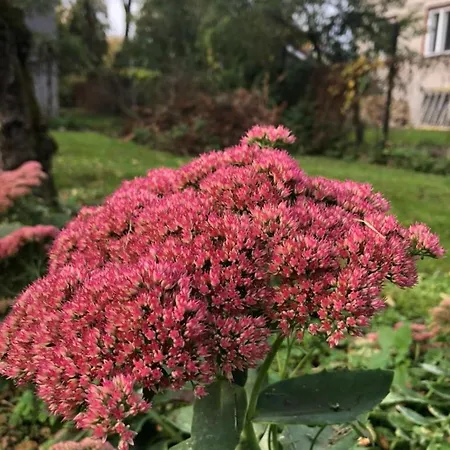 Hébergement de vacances Private House, Walk To Old Town, Garden And Parking
