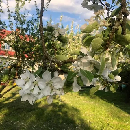 Private House, Walk To Old Town, Garden And Parking Hébergement de vacances
